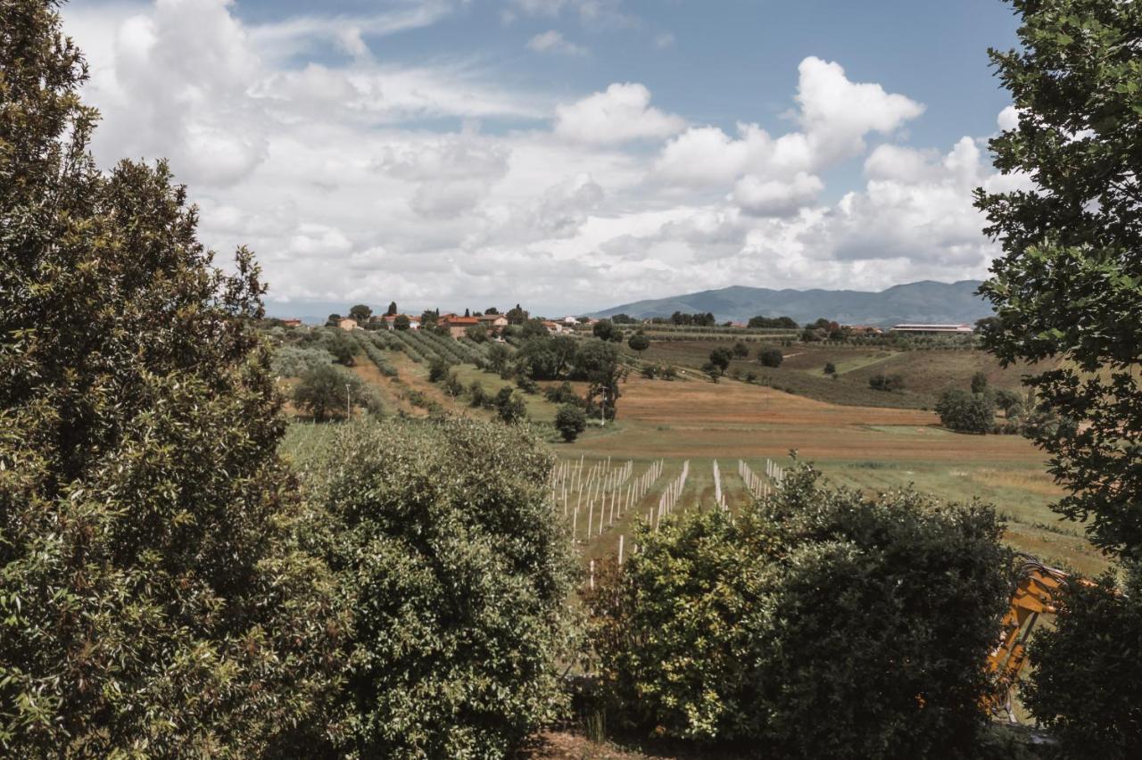 フォイアーノ・デッラ・キアーナ Agriturismo S.Angeloヴィラ エクステリア 写真
